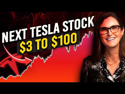 Missed Tesla??? Billionaires Say These 3 Dirt-Cheap Stocks Are Your Ticket To Millions In 2025