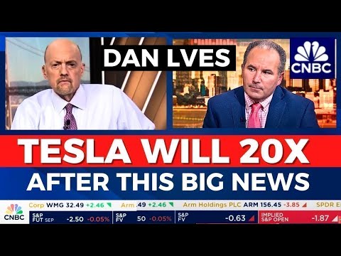 Dan Ives Said New Tesla $800 Target | TSLA Stock News