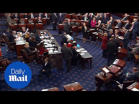 Senators respond to the vote that caused government shutdown - Daily Mail