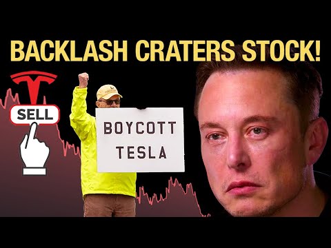 World&#039;s FURY at Elon Musk is TANKING Tesla Stock!