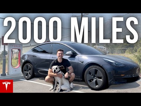 Tesla Model 3 Cross-Country Road Trip in 30 Hours